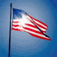 Flag Waving